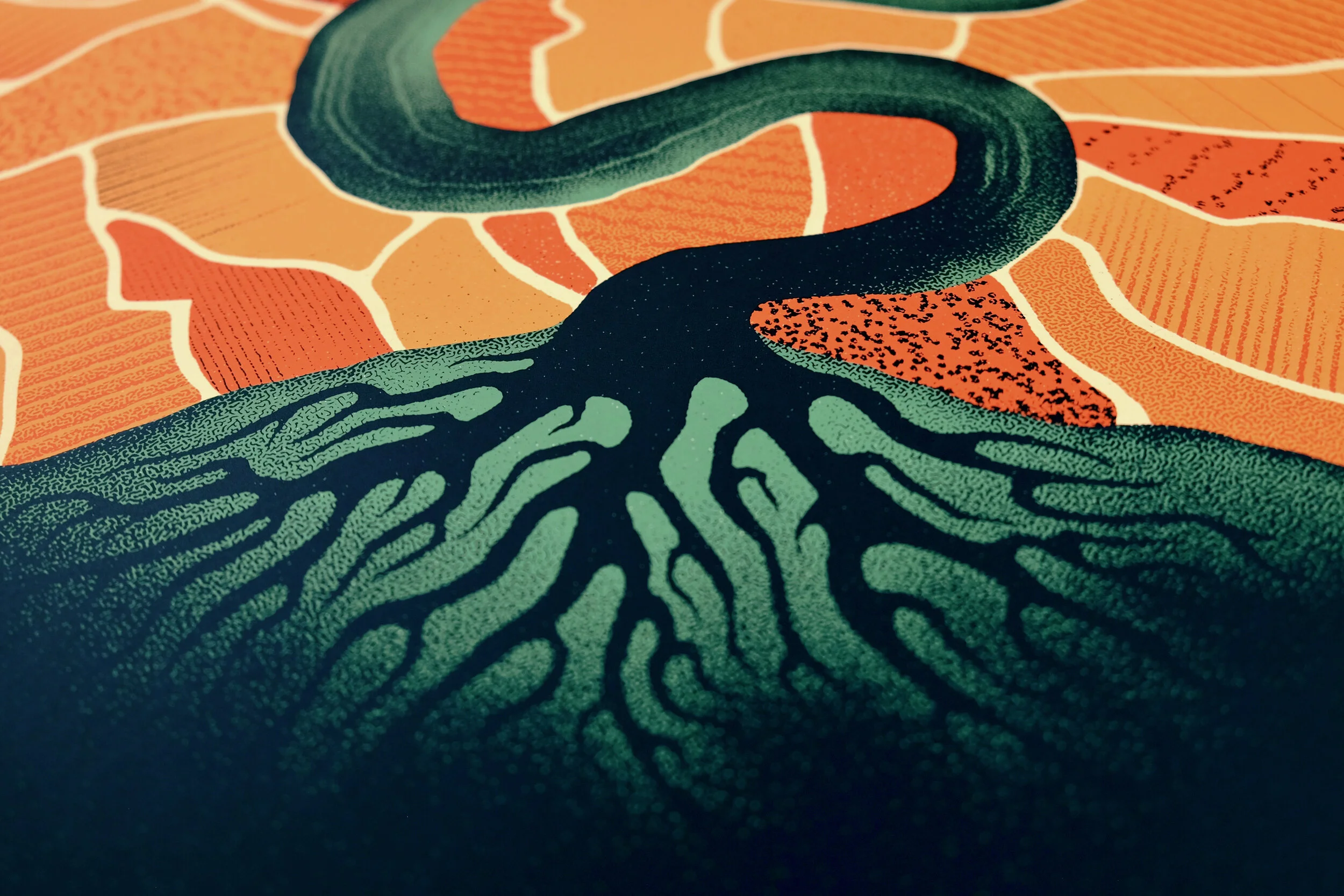Mumford & Sons Phoenix, AZ Poster — DKNG